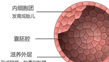 北京创生医联试管婴儿